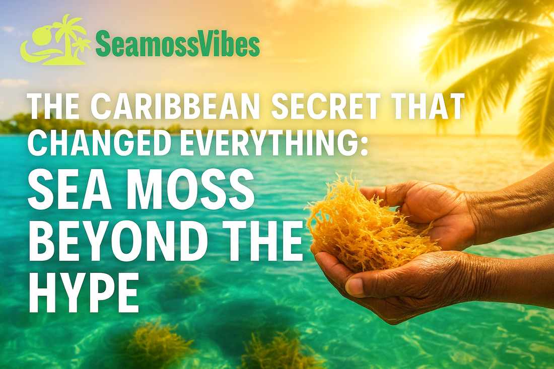 The Caribbean Secret That Changed Everything: Sea Moss Beyond the Hype